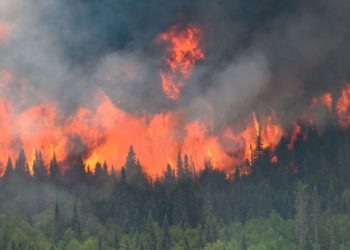 Vuelven los tapabocas en Nueva York por humo de incendios en Canadá