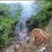 Militar venezolano fallece en siniestro de avión Sukhoi