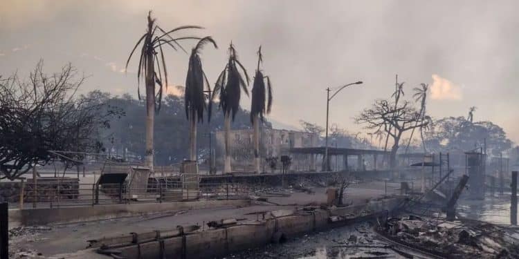 Sobrevivientes a los incendios en Hawái supieron de la emergencia cuando tenían las llamas encima