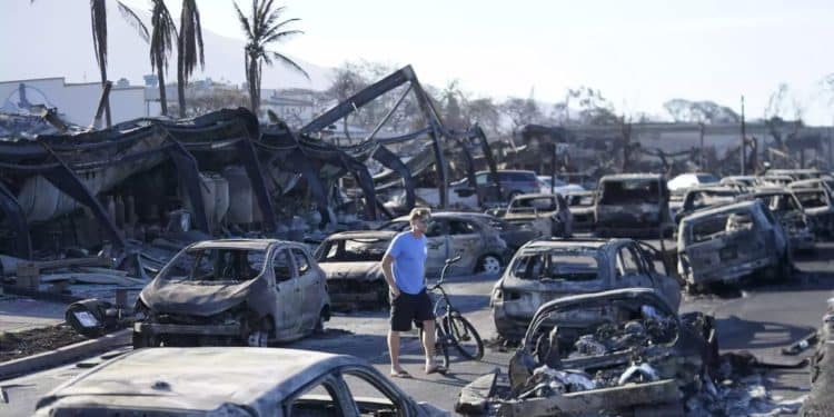 No más de 700 dólares: FEMA sin dinero para asistir a víctimas de incendios en Hawái