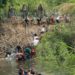 Sigue aumentando la llegada a EE.UU. de inmigrantes indocumentados bajo la administración Biden
