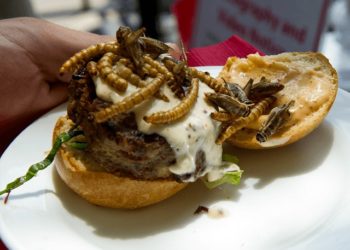 Por el «Cambio climático»: proponen nueva dieta alternativa para evitar el consumo de carne