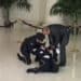 Vídeo: guardia de honor se desmaya frente al ataúd de la jueza Sandra Day O’Connor