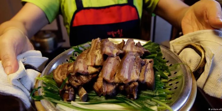Corea del Sur prohíbe la tradición de comer carne de perro