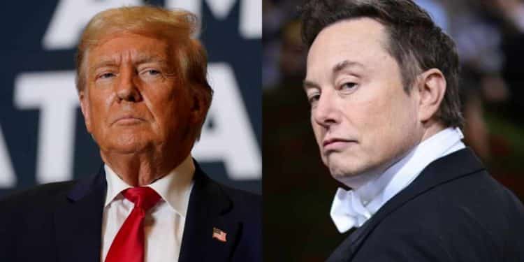 Hombre que filtró informes fiscales de Trump y Elon Musk es condenado en Washington