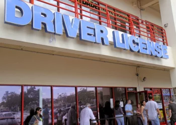 Florida prohíbe que personas trans cambien su género en las licencias de conducir