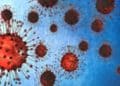 Enfermedad X: ¿Estamos listos? La preparación de los científicos ante una posible pandemia