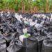 Colombia y Ecuador incautan «narco-submarinos» con más de diez toneladas de cocaína