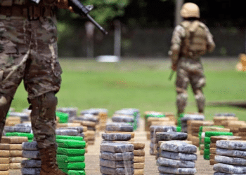 América Latina bajo la amenaza permanente del narcotráfico: Complicidades políticas que facilitan el desarrollo territorial