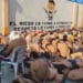 Gobierno de Noboa deportará a 1.500 extranjeros tras hechos de violencia en Guayaquil