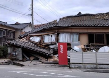 ¿Pájaros predijeron el gran terremoto de Japón? Las pruebas que afirman esta teoría