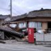 ¿Pájaros predijeron el gran terremoto de Japón? Las pruebas que afirman esta teoría