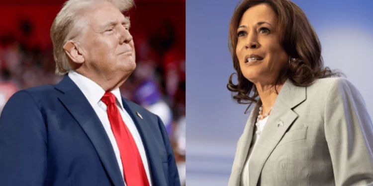 Falsos apoyos de celebridades proliferan en la campaña presidencial de EEUU
