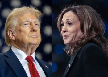Bloomberg: Trump vs. Harris y el futuro de la relación entre EE.UU. y los gobiernos de izquierda de Latam