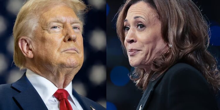 Bloomberg: Trump vs. Harris y el futuro de la relación entre EE.UU. y los gobiernos de izquierda de Latam