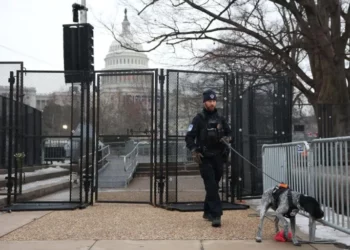 Arrestan a un hombre armado frente al Capitolio de Estados Unidos