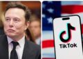 ¿Podría China vender TikTok en Estados Unidos a Elon Musk?