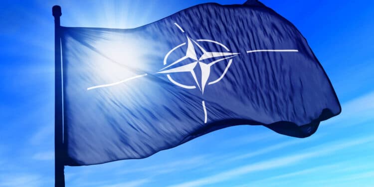 Aliados de la OTAN demandan presencia en las negociaciones de paz entre Rusia y Ucrania