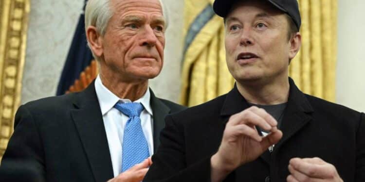 La polémica entre Elon Musk y Peter Navarro