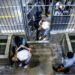 Bukele propone intercambio de presos a Maduro: venezolanos detenidos en El Salvador por presos políticos en Venezuela