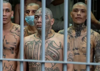Tres años de régimen de excepción en El Salvador: ¿cuál es la situación actual de las maras bajo el gobierno de Bukele?