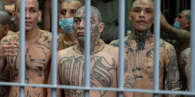 Tres años de régimen de excepción en El Salvador: ¿cuál es la situación actual de las maras bajo el gobierno de Bukele?