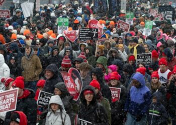 «Guerra mundial contra el no nacido»: los abortos suponen la mitad de las muertes en el mundo cada año