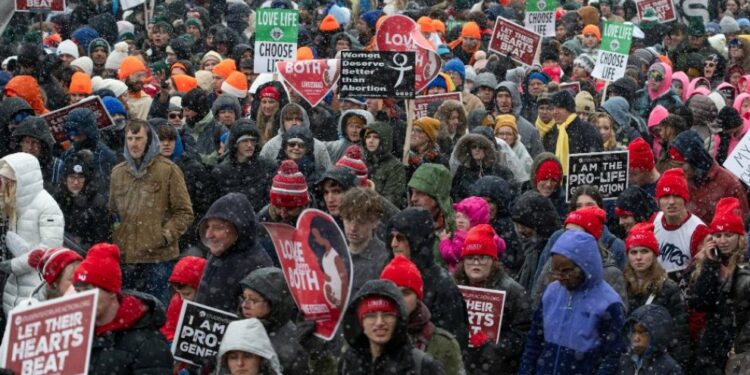 «Guerra mundial contra el no nacido»: los abortos suponen la mitad de las muertes en el mundo cada año
