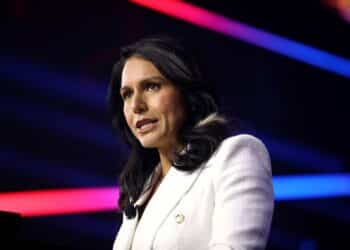 Tulsi Gabbard despide a dos altos funcionarios del Consejo Nacional de Inteligencia