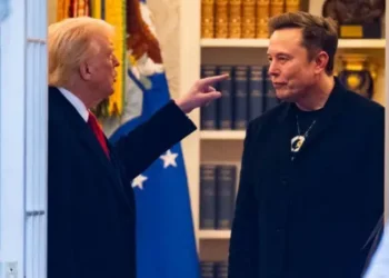 Las cosas más duras que Trump y Musk se dijeron el uno al otro