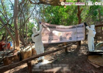 México incautó 4,8 toneladas de metanfetamina oculta en narcolaboratorios de Sinaloa