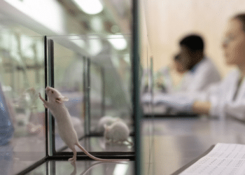 ¿Qué es ORIVA? La nueva oficina de EE.UU. para reducir las pruebas con animales
