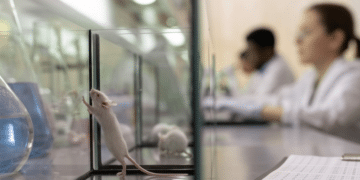 ¿Qué es ORIVA? La nueva oficina de EE.UU. para reducir las pruebas con animales